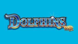 Dolphins Gold Award Series Slot - LIVE PLAY BONUS!