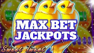 High Limit Drop & Lock - Max Betting Sweet Tweet!