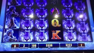 Snow Leopard Slot Machine ~  Free Spin Bonus ~ NICE WIN! • DJ BIZICK'S SLOT CHANNEL
