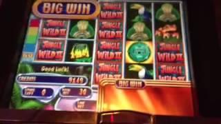 WMS-Jungle Wild Money Burst Slot Machine Bonus