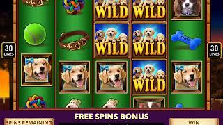 PAWPALOOZA Video Slot Casino Game with a PAWPALOOZA FREE SPIN BONUS