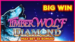 3X MAX BET BONUS! Timber Wolf Diamond Slot!