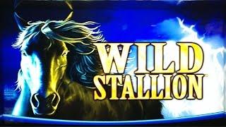 Wild Stallion Bonus - Aristocrat