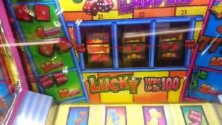 Snakes and Ladders Ticket Arcade Game at Bunn Leisure Selsey