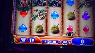 Queen of the wild slot machine live play max bet with nice line hits WMS