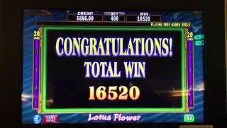 Lotus Flower Bonus Round at $20/pull at the Lodge Casino