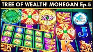 WE LOVE (& HATE!) THIS GAME! TREE OF WEALTH SLOT MACHINE! BOTH VERSIONS!