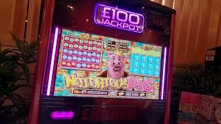 The Notorious P.I.G. £100 Jackpot Pub Slot