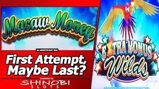 Macaw Money Slot - First Attempt, Live Play, Random Features and 3 Free Spins Bonuses