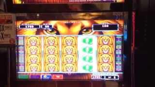 Ultra Stack Lion Slot Machine FREE SPIN BONUS GAMES