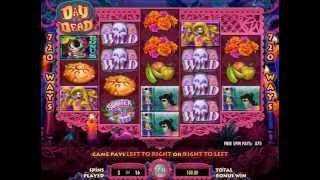 IGT Day Of The Dead Video Slot Free Spins Bonus Win