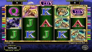 Cats™ By IGT | Slot Gameplay By Slotozilla.com