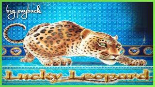 RARE RETRIGGER! Lucky Leopard Slot - LOVE THIS CLASSIC!