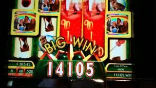 Ruby Slippers: A Bubble BIG WIN!!! (Max Bet)