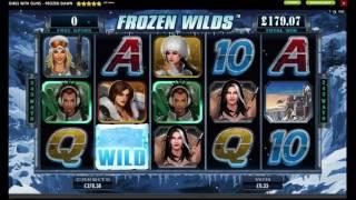 blackjack ballroom casino review    -  Girls with Guns Frozen Dawn  -  micro gaming meaning