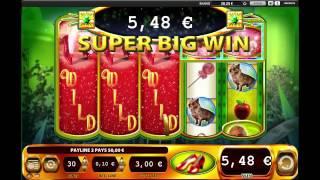 Ruby Slippers Super Big Win - WMS