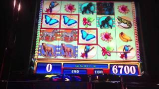 WMS - Wild Stampede/Great Eagle II Slot - Harrah's Racetrack and Casino - Chester, PA