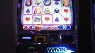 Buffalo Spirit live play at Max Bet with BONUS and Replicating Wild Feature WMS