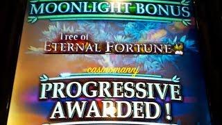 Tree of Eternal Fortune Slot - LIVE PLAY! - *PROGRESSIVE WIN* - Slot Machine Bonus