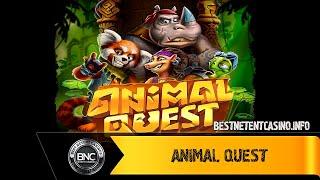 Animal Quest slot by Evoplay Entertainment