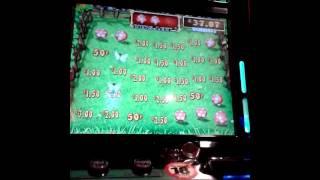 Rainbow riches fields of gold 2 of 3 fruit machine/slot