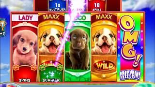 OMG! PUPPIES Video Slot Casino Game with a FREE SPIN BONUS