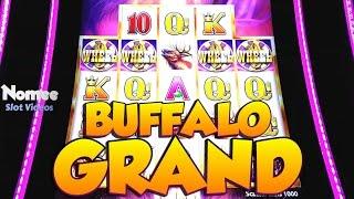Buffalo Grand Slot Machine - $1.50 Bet - Nice Win!!