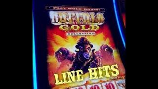 Buffalo Gold - 3 line hits - Slot Machine Bonus