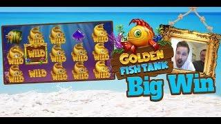 EPIC win in Golden Fish Tank