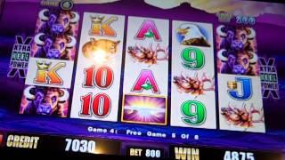 Wonder 4 Buffalo Bonus!