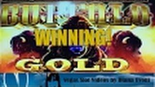 BUFFALO GOLD SLOT MACHINE BONUS-Live play-Winning