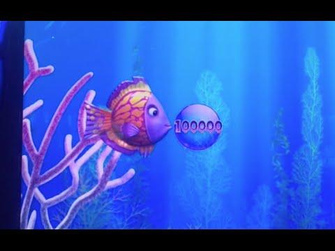 Gold Fish 3 Bonus Purple Fish ** SLOT LOVER **