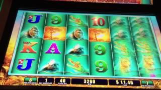 Raging Rhino 2 Cent WMS Slot Machine Free Bonus Spins