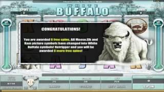 Free White Buffalo Slot by Microgaming Video Preview | HEX