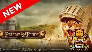 ⋆ Slots ⋆ Feline Fury Slot - Play'n GO Slots
