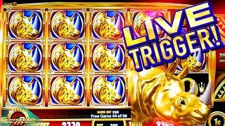 LIVE Re-Trigger!!  RHINO CHARGE - Wonder 4 Boost - MAX BET FREE GAMES on 1c Aristocrat SLOTS
