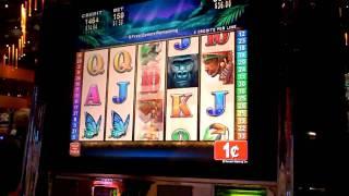 African Diamond a WMS game slot machine bonus win at Sands Casino