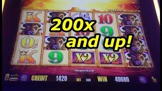 BIG WINS!  Buffalo Gold Collection of 200x and up wins