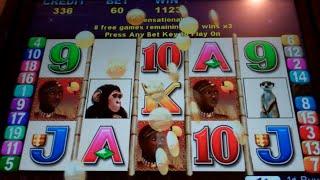 Kenyan Gold Slot Machine Bonus - 15 Free Games with All Wins Tripled - Nice Win