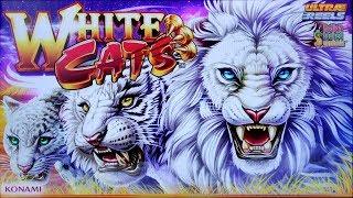 SUPER BIG WIN on WHITE CATS SLOT POKIE BONUSES by KONAMI