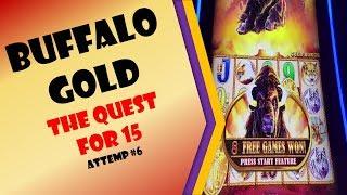 #144 - The Quest for 15 -  Buffalo Gold Attempt #6