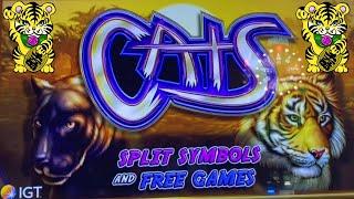 ⋆ Slots ⋆THESE BIG CATS LOVES ME !!⋆ Slots ⋆CATS (IGT) Slot ⋆ Slots ⋆$100 Free Play $3.00 Bet⋆ Slots ⋆栗スロ