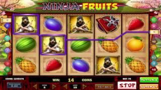 Free Ninja Fruits Slot by Play n Go Video Preview | HEX