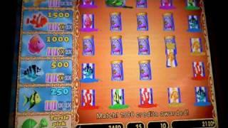 Goldfish Fishfood Bonus win on a WMS slot machine