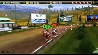 Virtual Horse Racing Game - Golden Derby