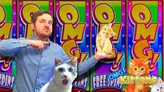 WATCH THIS VIDEO OR SDGUY WILL KILL A KITTEN • OMG Kittens  & OMG Kitten Safari Slot Machine
