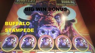 *BIG WIN* Buffalo Stampede | Free Games+multiple re-triggers