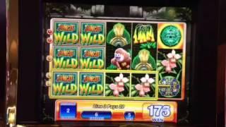 Jungle Wild Slot Machine Bonus $1 Denom Max Bet BIG WIN Palazzo Casino Las Vegas