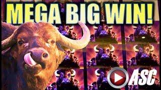 •MEGA BIG WIN!• TIGERS, TIMBER WOLVES, BUFFALOS OH MY! • (Aristocrat) Slot Machine Bonus