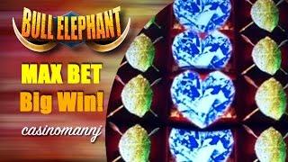 MAX BET! Bull Elephant - Big Win - Slot Machine Bonus